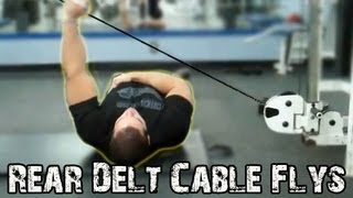 REAR DELT Cable Flyes Exercise  How To Build Up The Rear Deltoids [upl. by Douglas583]