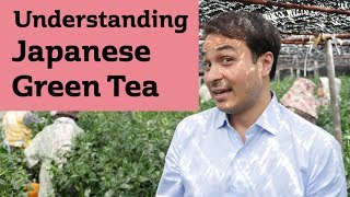 Understanding Japanese Green Tea JAPAN TRIP [upl. by Ashbey]