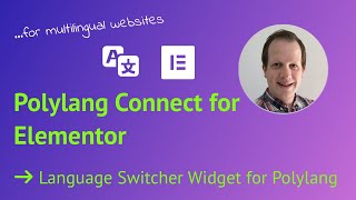 Elementor Language Switcher Widget for Polylang  WordPress multingual [upl. by Eiralc]