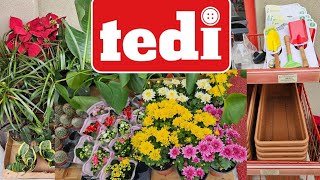 💯TEDİ MARKETLERDE ÇİÇEK ve SAKSI ŞÖLENİ çiçek keşfet tedimarket [upl. by Eirrehs]