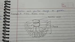 Types of Virus or different symmetry of virus MSc and bsc botany notes [upl. by Elynad71]