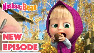 Masha and the Bear 2024 🎬 NEW EPISODE 🎬 Best cartoon collection ✨ Whos Gifted 🎅🎄 [upl. by Gilpin266]