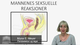 Forplantningen Mannens seksuelle reaksjoner [upl. by Hollander]