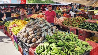 A FEIRA DE CACHOEIRINHAPE TEM FARTURA E CUSTO DE VIDA BAIXO [upl. by Puttergill98]