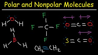 Polar and NonPolar Molecules How To Tell If a Molecule is Polar or Nonpolar [upl. by Reinar130]