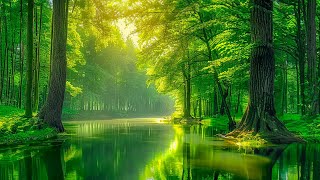 Relaxing Music 🌿 That Heals Stress Anxiety And Depressive Conditions Heals Gentle Music 39 [upl. by Ablasor]