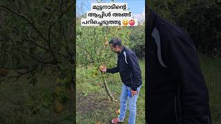 അല്ല പിന്നെ പിയർ ❤️😆 ukmalayali kerala familyvlogs malayalamfamilyvlog apple trip india [upl. by Spearman]