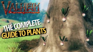 Complete Guide To Carrots Turnips Flax amp Barley  Valheim [upl. by Llemart]