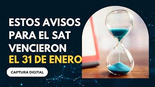 Repercusiones de No Cumplir con Avisos al SAT 😰 [upl. by Weinhardt]