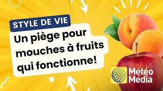 Un piège pour mouches à fruits qui fonctionne  Trucs et astuces [upl. by Neilla804]