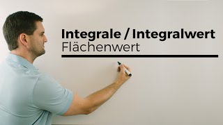 Integrale Integralwert Flächenwert im Sachzusammenhang  Mathe by Daniel Jung [upl. by Tindall]