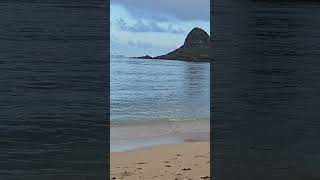 quotChina mans hatquot Oahu hawaiitravel ocean hawaiibeach [upl. by Clarance]