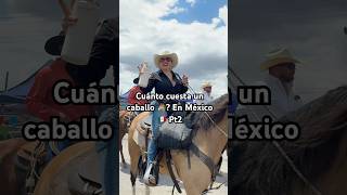 Cuánto cuesta un caballo 🐴 En México 🇲🇽 Pt2 [upl. by Anileme]