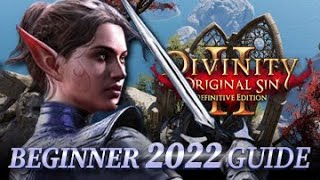 2022 Beginners Guide For Divinity Original Sin 2 Definitive Edition [upl. by Tersina903]