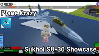 Plane Crazy Sukhoi SU 30 Showcase [upl. by Samoht663]