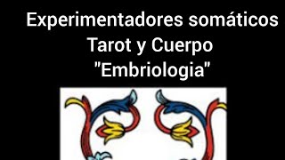 Tarot y Cuerpo quotembriologiaquot [upl. by Akeenat]