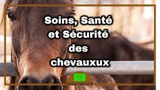 Comment Prendre Soin des Chevaux [upl. by Aita179]