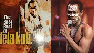 The Best Of Fela Kuti [upl. by Aienahs366]