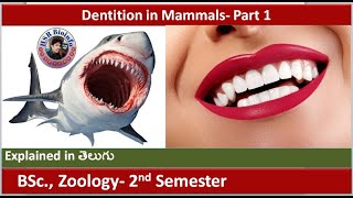 Dentition in mammals part1  Dental formula  Structure of Teeth  HSR Bioinfo [upl. by Macdonald300]