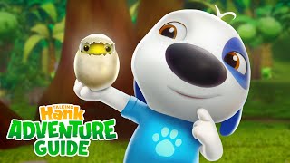 NEW EPISODE What To Do With An Egg 🥚 Talking Hanks Adventure Guide Island Living [upl. by Rahman316]