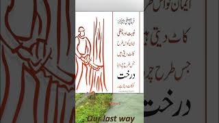 Islamic Video  Islamic Quotes  Golden Words in Urdu  Golden Words About Life Success Quotes [upl. by Sucramel]