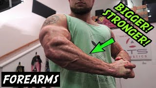 BIGGER STRONGER FOREARMS WORKOUT  DUMBBELLS ONLY [upl. by Marola]