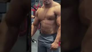 larry wheels pecs [upl. by Ellata]