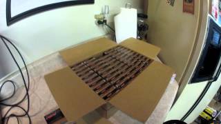 1000 rounds of 223 556 nato round [upl. by Atil107]