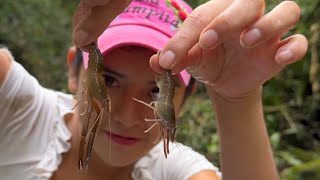 Fui a Atrapar Camarones de Río para hacer un delicioso ceviche  Saida ZC  💚 [upl. by Enorel]