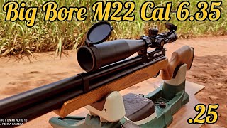 M22 ARTEMIS CAL 635MM BIG BORE LUNETA WHEST HUNTER 624X50FFP AGRUPAMENTO COM RIFLE ROUND E TITAN [upl. by Lindblad419]