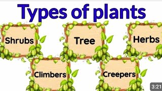 TYPES OF PLANTS ACTIVITY CLASS stxaviershighschoolbrahman7194 [upl. by Eednahs907]