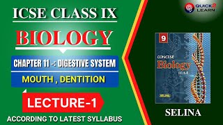 LECTURE1 MOUTH AND DENTITION [upl. by Kelwen718]