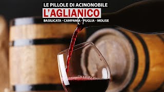 L Aglianico Il Barolo del Sud [upl. by Aserej]