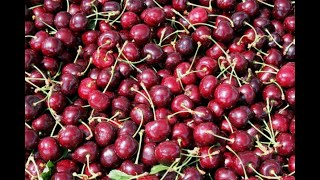 Cherries 101  Nutrition and Health Benefits [upl. by Roscoe734]