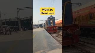 WDM 3A loco for Shunting at Anand Vihar terminal station railwaydepartment indianrail dieselloco [upl. by Jagir]