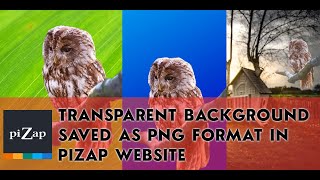 piZaps Quick Photo Editing TutorialTransparent background saved as PNG format [upl. by Boni]