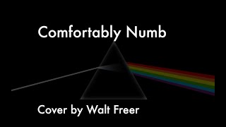 Comfortably Numb Cover Walt Freer [upl. by Ikkim]