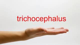 How to Pronounce trichocephalus  American English [upl. by Berners]