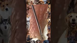 Big Cystic Acne Blackheads Extraction Blackheads amp Milia Whiteheads Removal Pimple Popping 17 [upl. by Neelasor870]