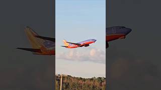 SouthwestAir Boeing 737 Takeoff retro livery planespotting aviation avgeek [upl. by Barmen]