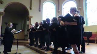 Carol Of The Bells  Elizabeth Davidsons Snowtunes amp Showtunes 2016 [upl. by Ahsyt]