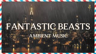 Fantastic Beasts Ambient Music  Raining in New York  Relaxing Studying Sleeping [upl. by Niwde]