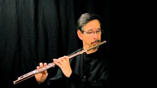 Basic Jazz Flute Level 1 [upl. by Eniladam501]