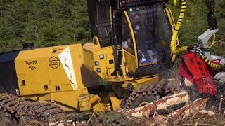 Tigercat 1185 Harvester in Scotland [upl. by Hahsia]