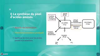 BIOCHIMIE LIPIDES 1 ACIDES GRAS DÉFINITION CARACTÉRISTIQUES ET NOMENCLATURE [upl. by Aratihc383]