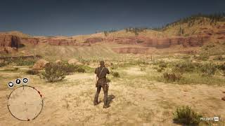 115 Desert Bighorn Ram location RDR2 [upl. by Nehcterg]