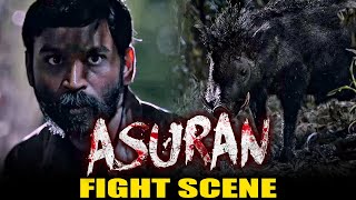 Asuran Best Scene  Dhanush  Pig Fight Scene  Asuran In Hindi  National Award [upl. by Nilrah]