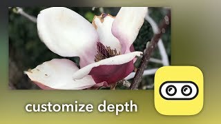 Ultimate Portrait Mode  Focos App Review [upl. by Odlaw958]