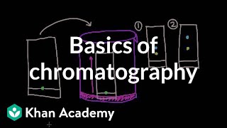 Basics of chromatography  Chemical processes  MCAT  Khan Academy [upl. by Queri351]