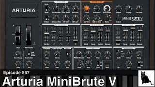 Arturia MiniBrute V A detailed demo amp tutorial  hardware comparison [upl. by Fasa702]